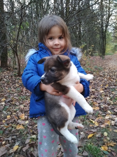 ФЕЛИЦИЯ в поисках ДОМА, фото 2