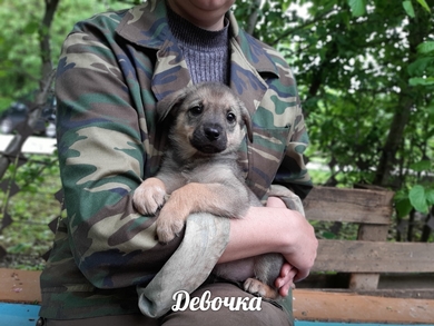 Красивая девочка ищет ДОМ