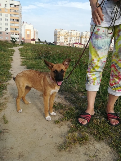 Небольшого размера, с пронизывающим душу взглядом, девочка-подросток в дар.