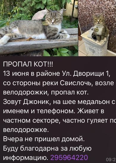 СЕРЕБРЯНКА!!!!! ПОТЕРЯЛСЯ КОТ 