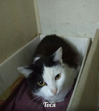 Тося хочет Домой!