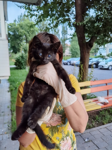 Анфиса ищет дом!
