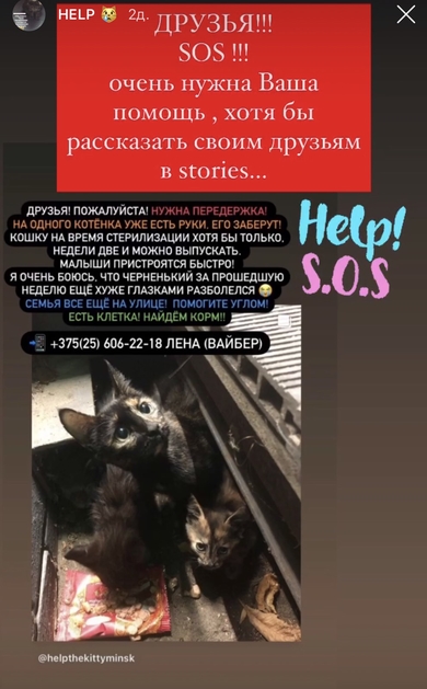 КОШКА И ТРИ КОТЕНКА 