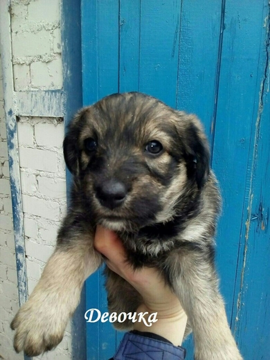 Малышка всё ещё в САХЕ!!!