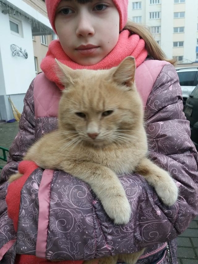 Срочно красивому котику нужен дом или передержка, фото 2
