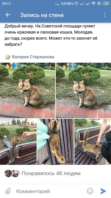 Очень красивой кошке нужен дом , фото 2