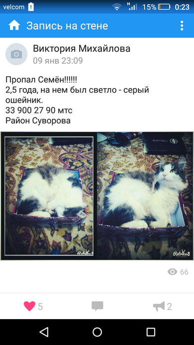 Сэмми 2,5 года