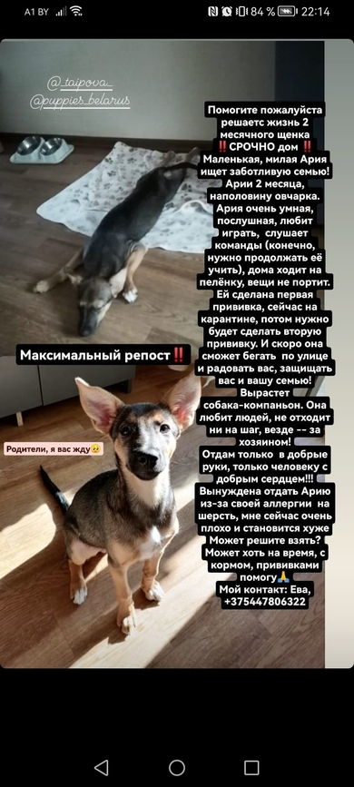 Срочно нужен дом 