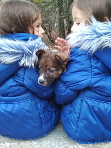 ФЕЛИЦИЯ в поисках ДОМА, фото 4