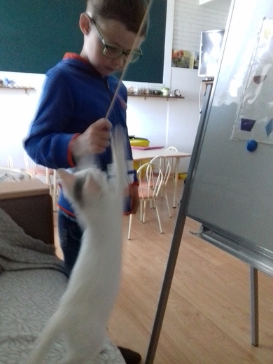 Красивый котенок в дар, фото 4